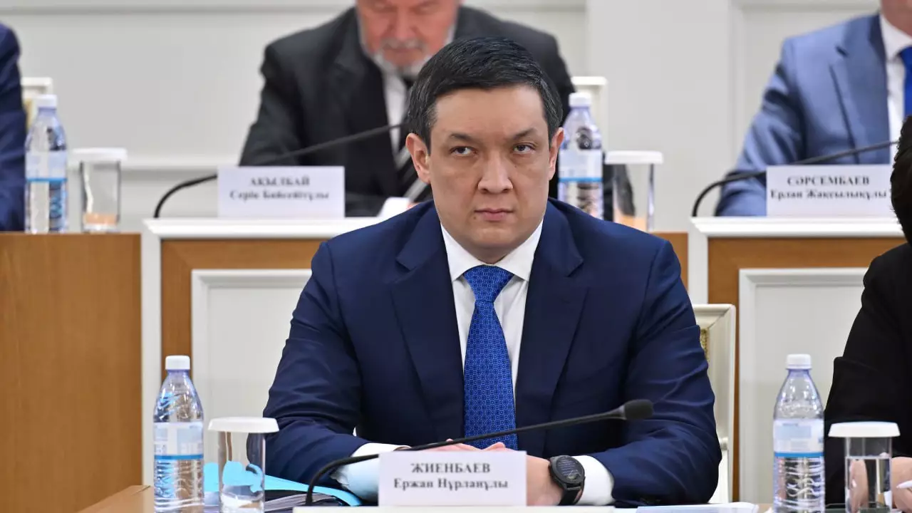 Президент көмекшісі вице-президент пен Халық Кеңесінің өкілеттігін түсіндірді