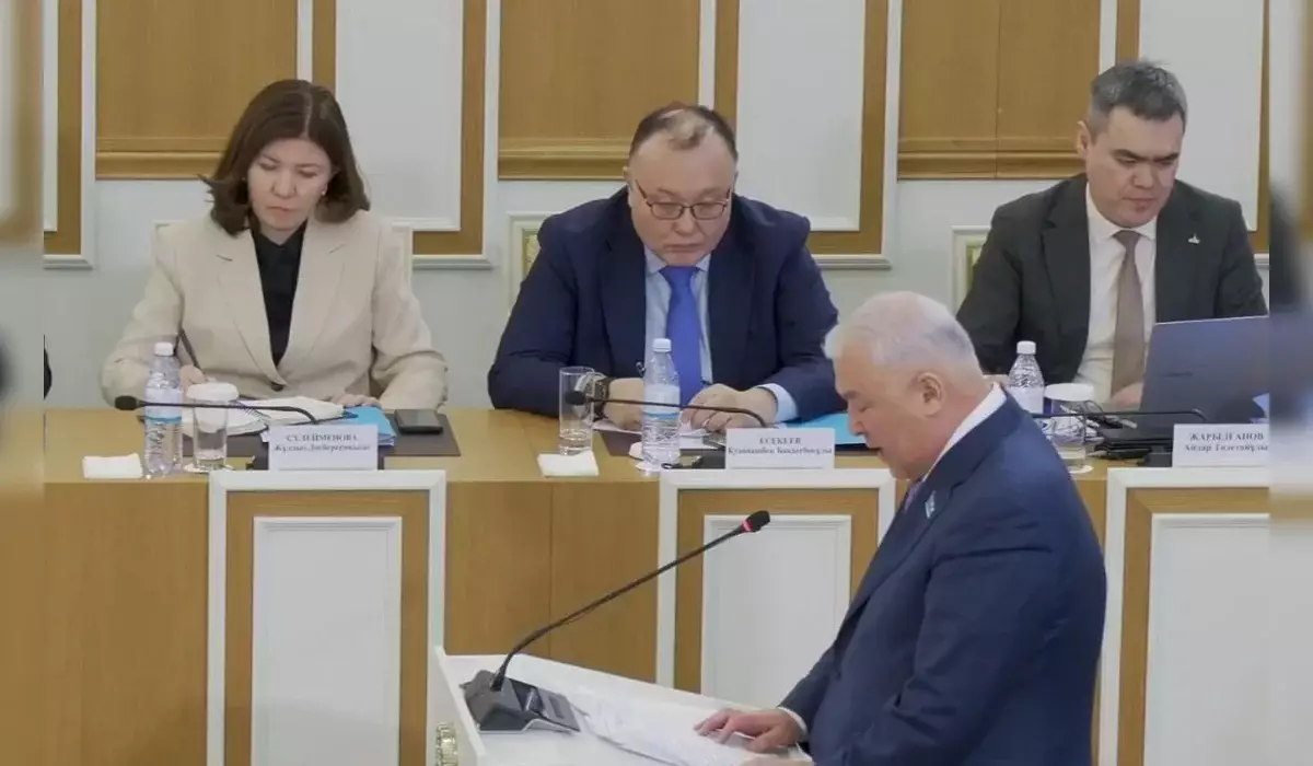 Нормы о творческой свободе предложили закрепить в Конституции