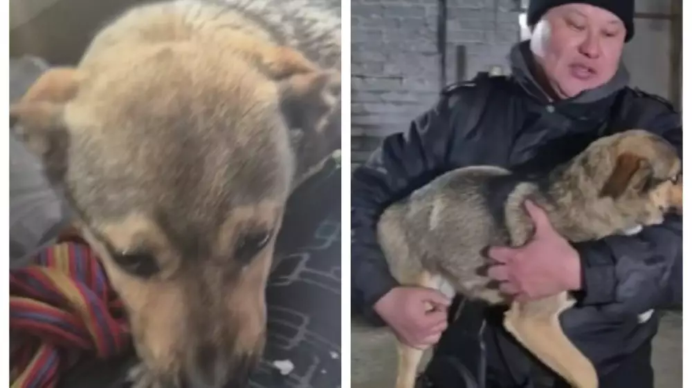 Казахстанец стал звездой в TikTok после доброго поступка: история получила продолжение