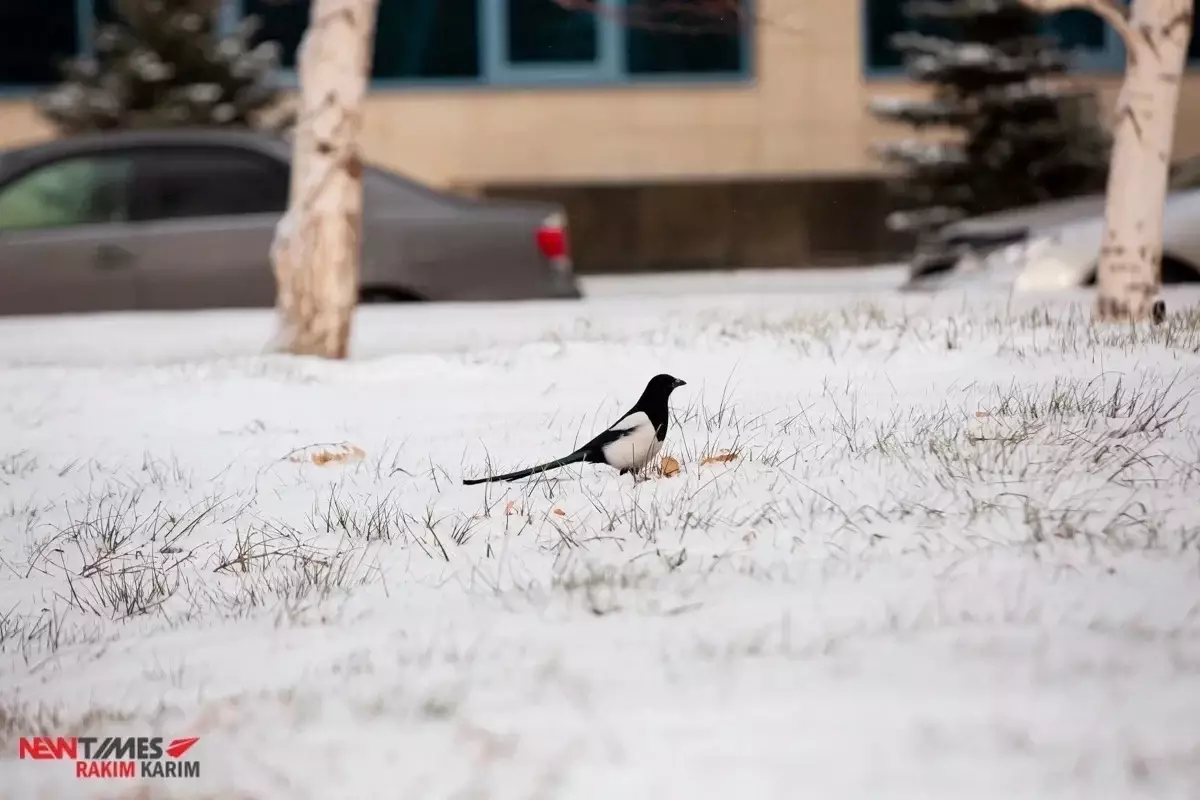 Прогноз погоды в Казахстане на 25 января