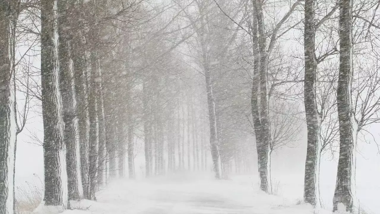 Қазгидромет ескерту жасады: Елордада боран, оңтүстікте көктемнің лебі сезіледі