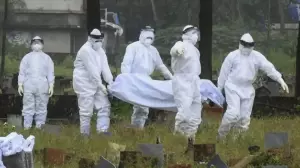 Үндістанда Нипах вирусы өршіді