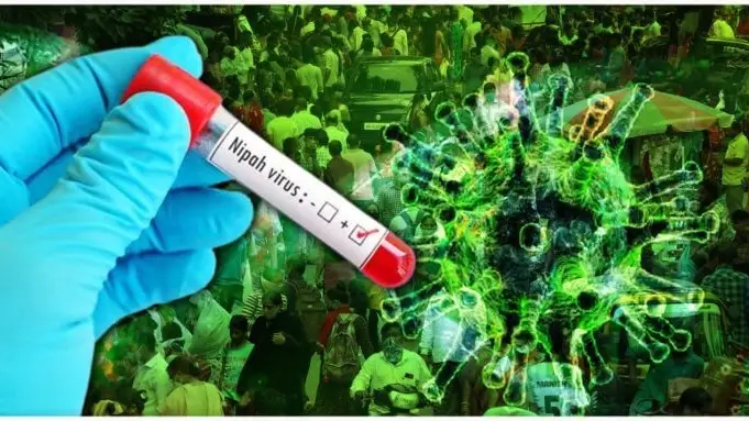 Үндістанда өлімге әкелетін Нипах вирусы таралып жатыр