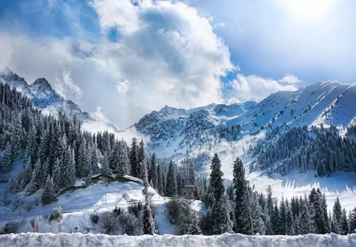 ТЖМ құтқарушылары Алматы тауында альпинисті құтқарды