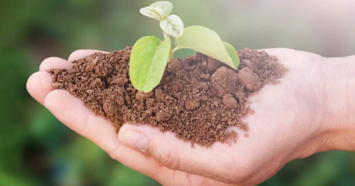   Өзбекстанда халыққа 50 гектар жерден тегін берілмек   