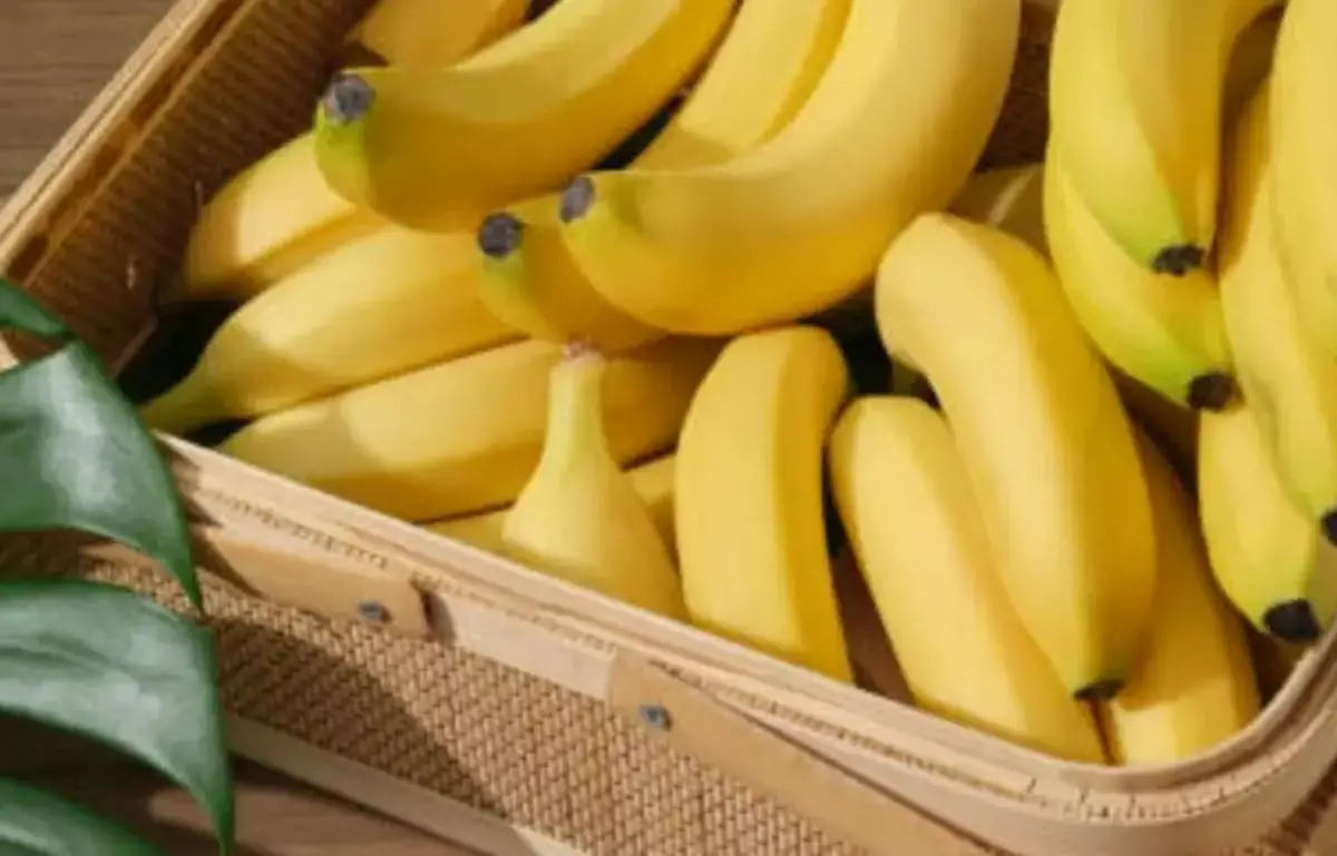 Два — норма, три — опасно: тайная угроза бананов для здоровья - новости на Lada.kz 25.01.2026