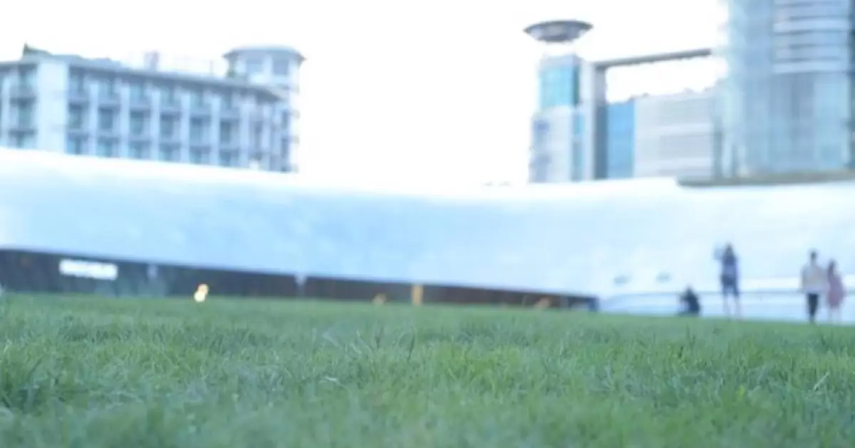  Футбол ойыны кезінде 64 полиция қызметкері жарақат алды 