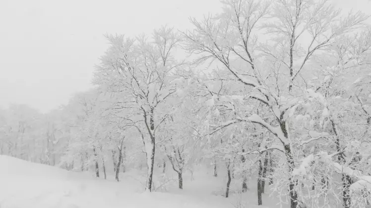 Қар, боран, тұман: Алматы мен 16 облыста дауылды ескерту жарияланды