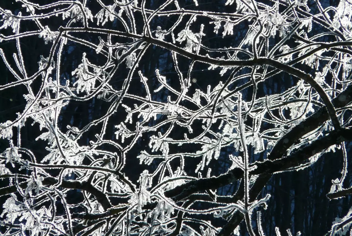 Штормовое предупреждение объявили в нескольких областях страны