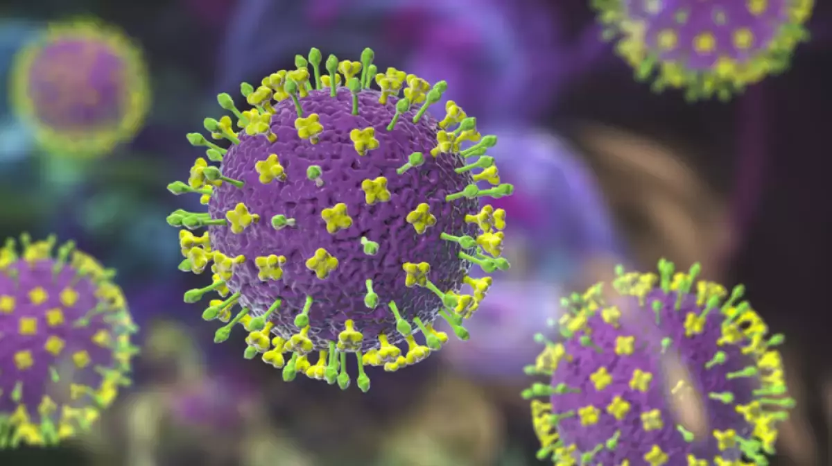 Үндістанда қауіпті вирус тарай бастады