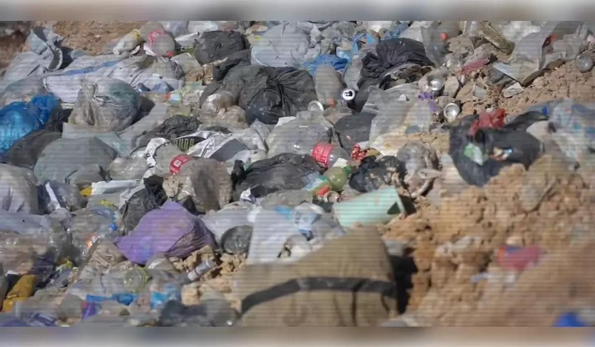 Около 4 тысяч стихийных свалок выявили в Казахстане (ВИДЕО)