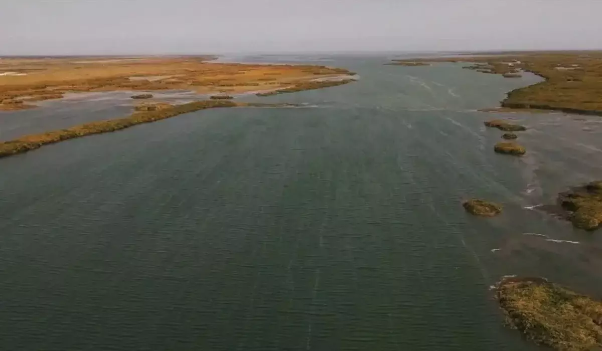 Солтүстік Аралды сақтау: су деңгейін көтеру үшін Көкарал бөгеті реконструкциялануы мүмкін