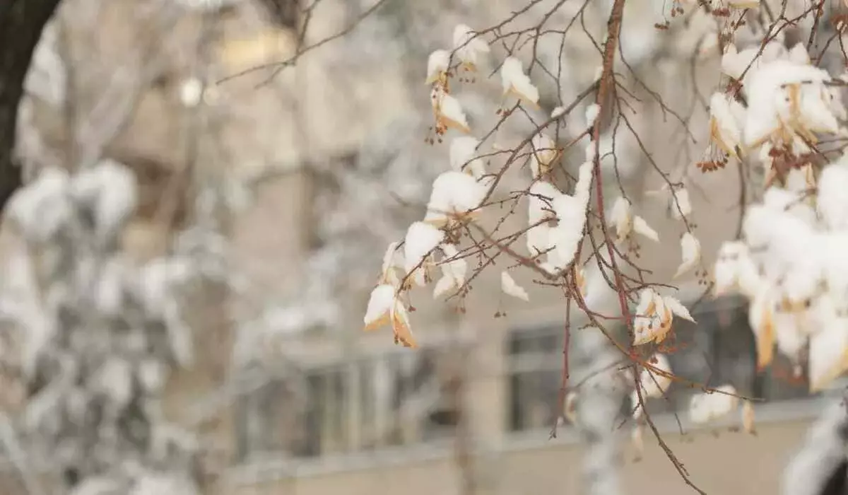 Морозы до -35 и потепление: что готовит погода казахстанцам 27-29 января