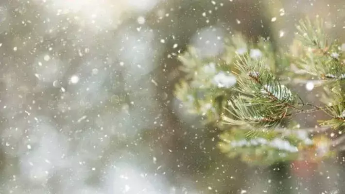 Синоптики предупредили о похолодании и осадках в Узбекистане