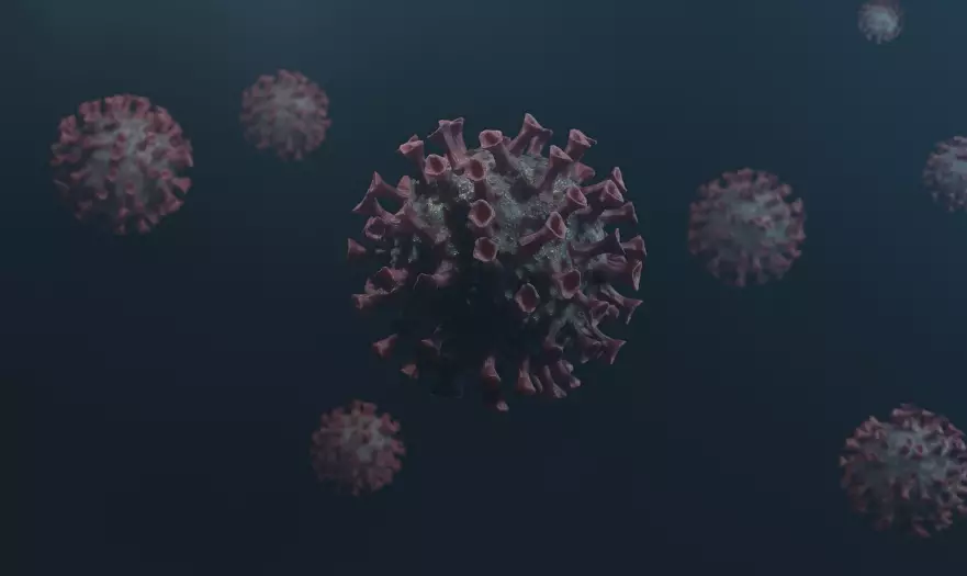 Ситуация с вирусом Нипах – минздрав Казахстана выступил с комментарием