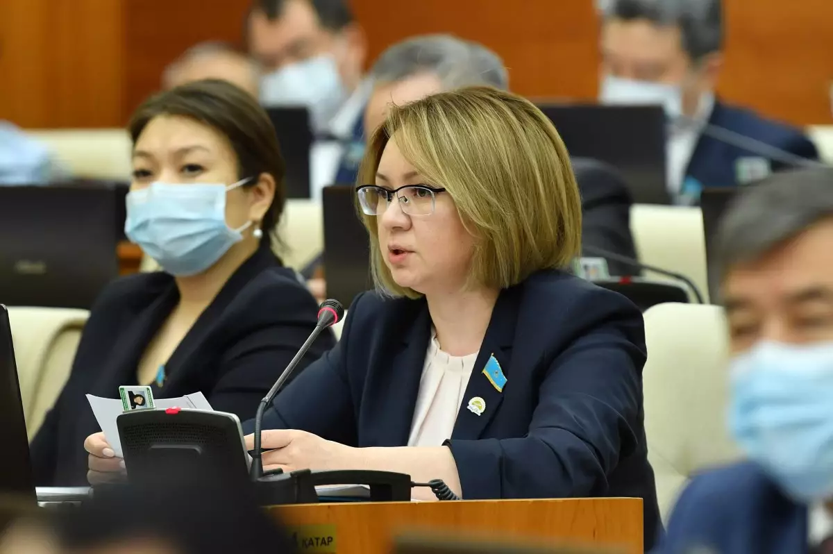 Депутат жаңа Конституцияда сөз бостандығын шектеуді ұсынды