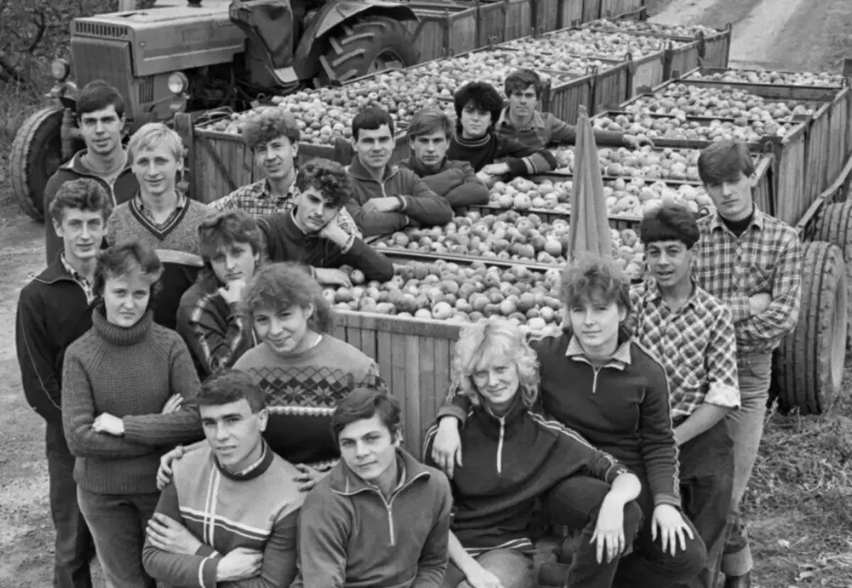 Стройотряды и поездки «на картошку». Как студенты жили в СССР - новости на Lada.kz 26.01.2026