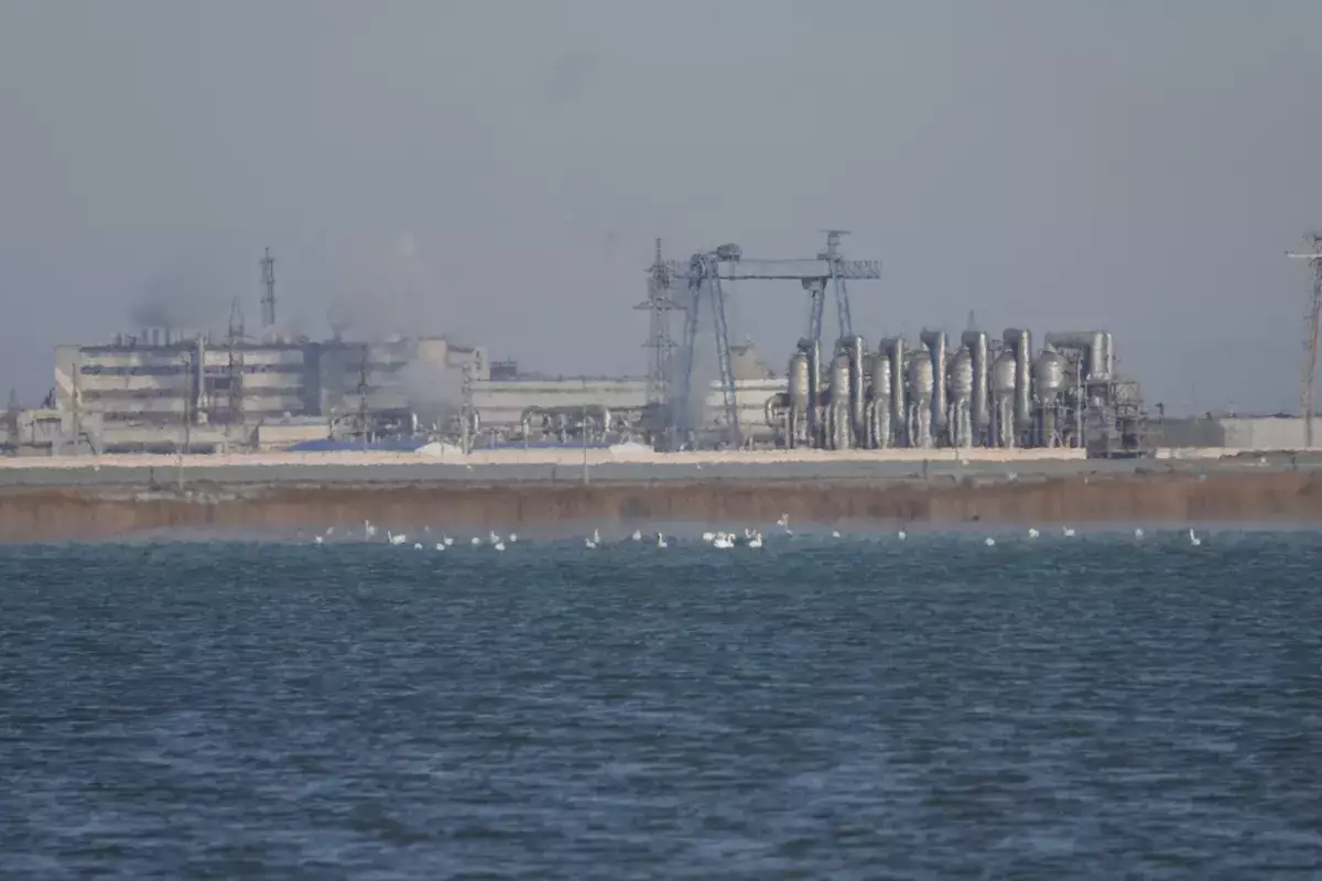 Кто на озере живет? В Актау провели учет птиц на Караколе - новости на Lada.kz 26.01.2026