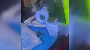 Алматыда синтетикалық есірткі таратқан күдіктілер ұсталды 