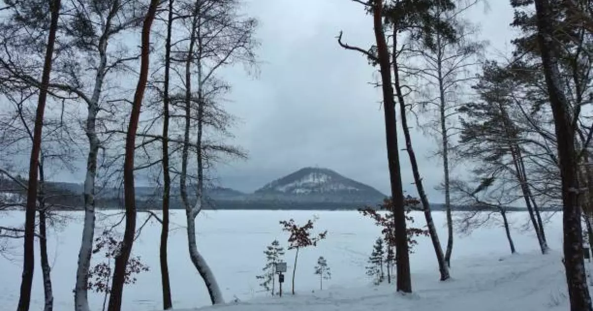  «Көкшетау» ұлттық саябағында елік атқан браконьерлер сотталды 