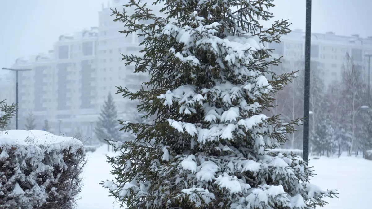 Толық болжам: Қазақстанда ақпан айында күн райы қандай болады?