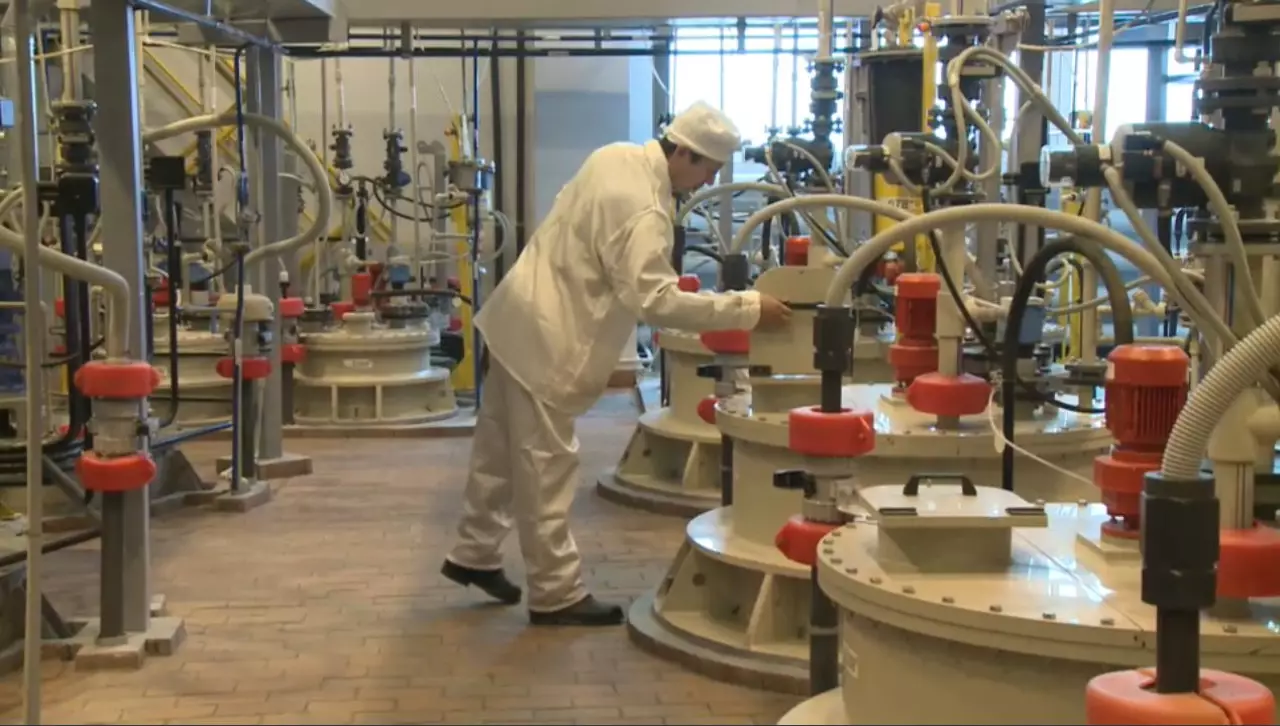 Үш түрлі арнаулы салық режимі