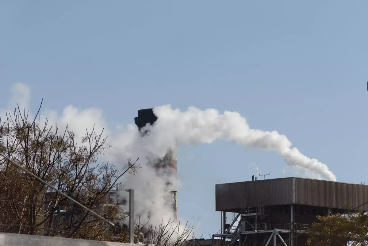 Бизнесу в Алматы объяснили, как внедрять экологические нормы без штрафов