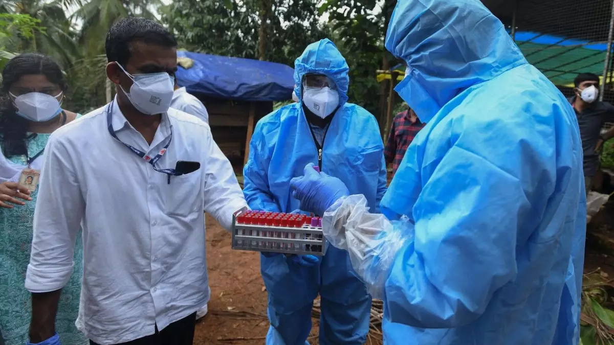 Үндістанда таралған нипах вирусы туралы не білу керек?