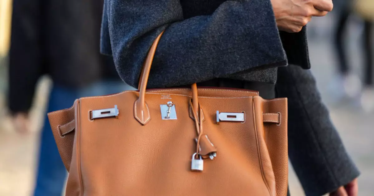  Hermès бренді Birkin сөмкесін сатып алғысы келетіндерді `аңдитын` жүйе құрған 