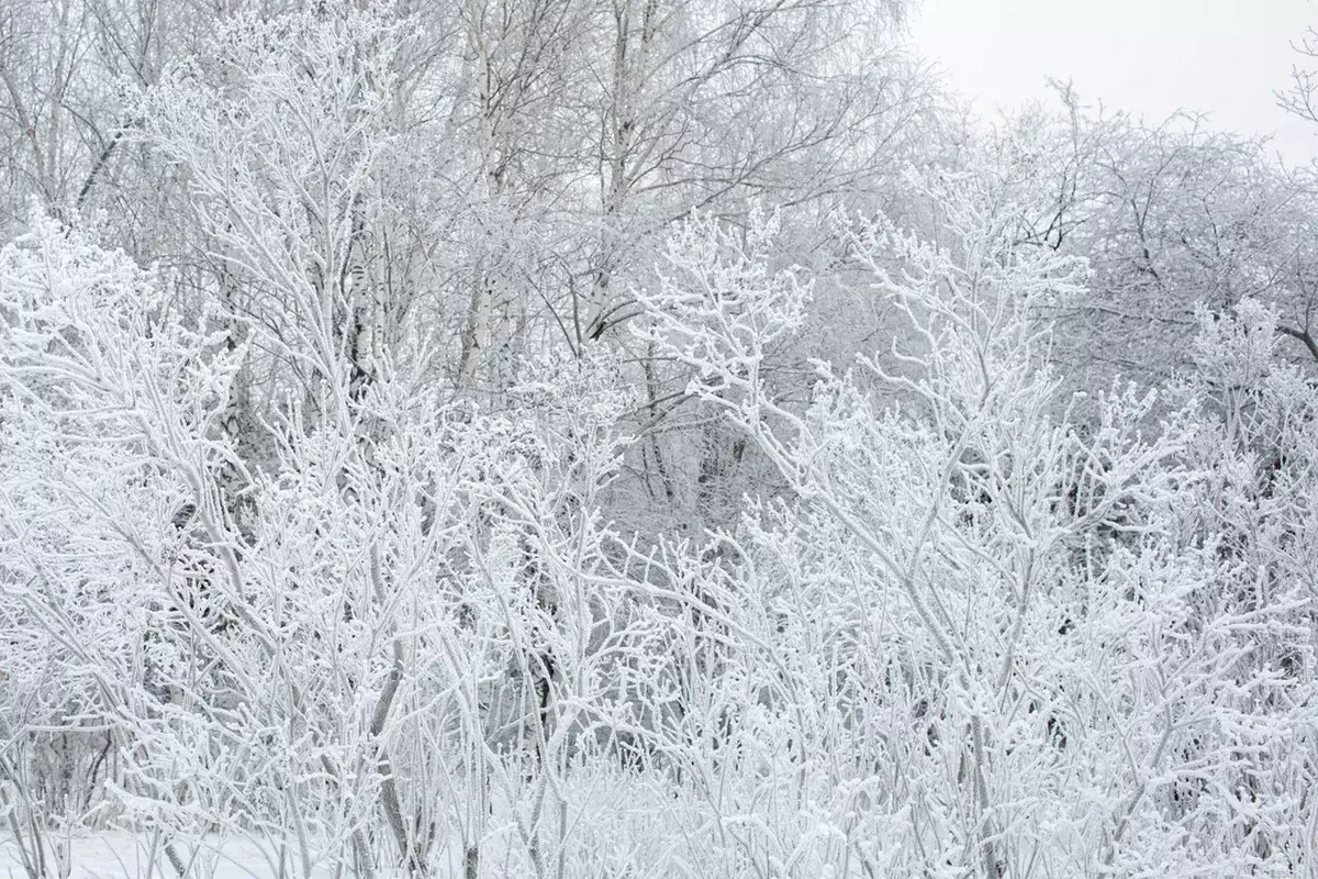 Штормовое предупреждение объявлено в 13 регионах Казахстана на 27 января