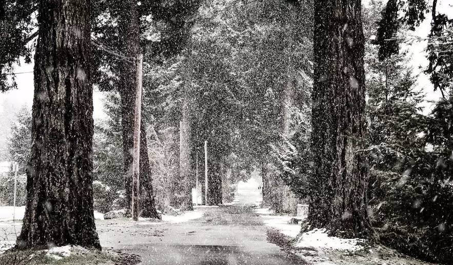 Штормовые предупреждения на вторник объявлены в 12 областях Казахстана