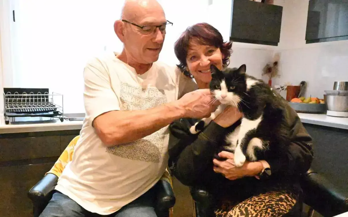 Потерянный в отпуске кот сам прошел 250 км и вернулся домой - новости на Lada.kz 26.01.2026