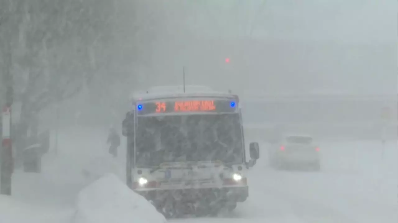 Канадада қарлы боран соқты