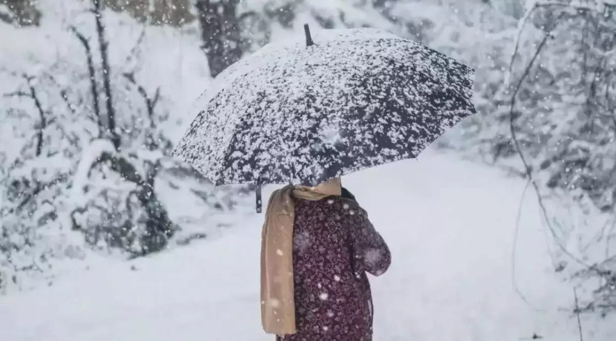 Тұман түсіп, көктайғақ болады - синоптиктер ескерту жасады