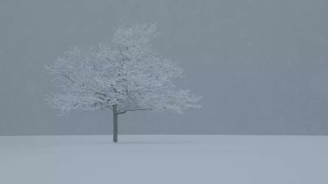 "Қар, тұман, аяз". Ертең бірқатар өңірде дауылды ескерту жарияланды