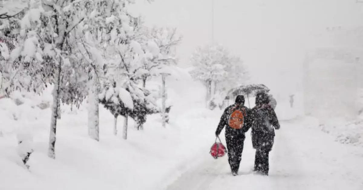   Қар жауып, бұрқасын жүреді: 27 қаңтарға ауа райы болжамы   