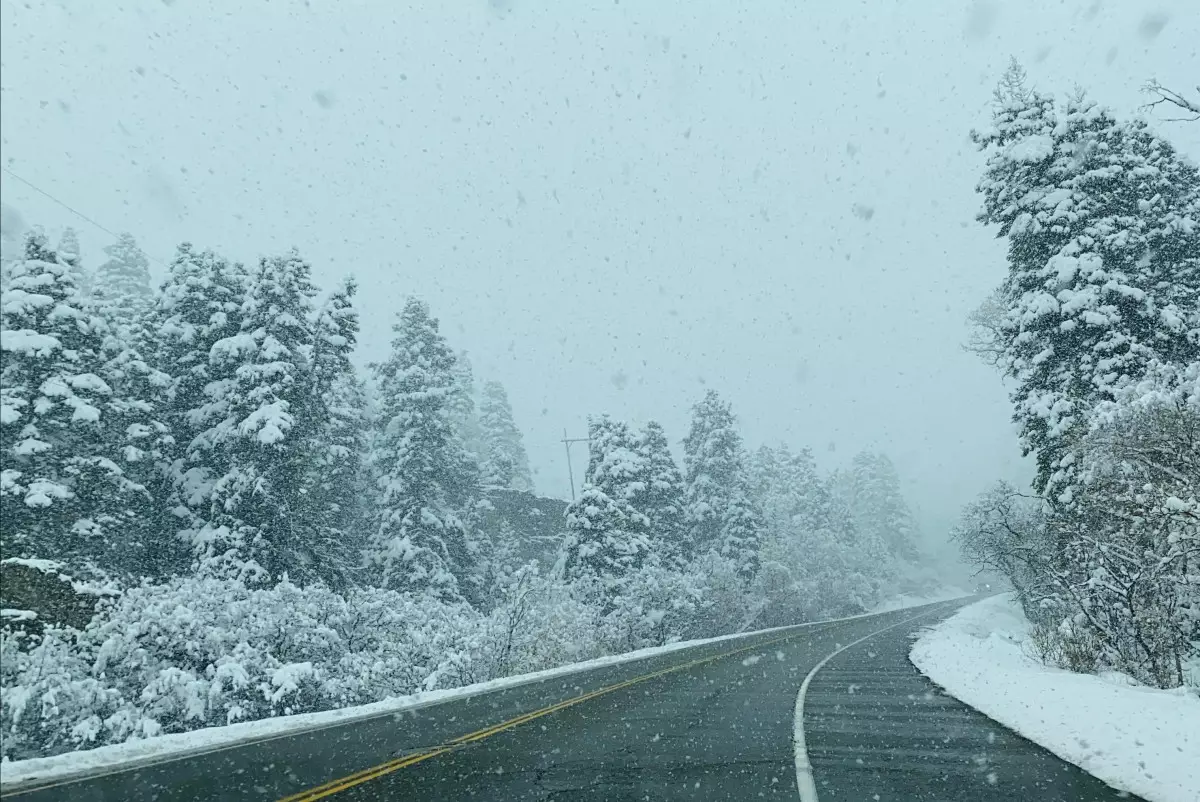 Патрульная полиция Мангистау обеспечила безопасность движения более 500 автомобилей