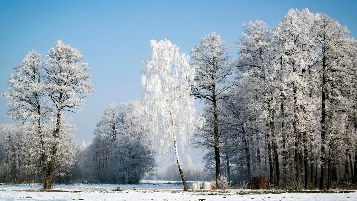 27 қаңтар: кей өңірде жылымық, кей аймақта аяз күшейеді