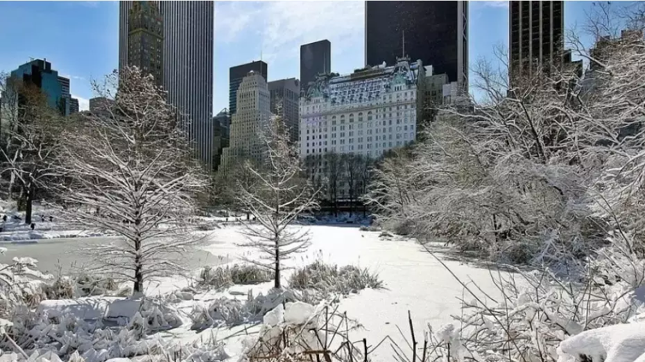 АҚШ-тағы қысқы дауыл қайғылы жағдайға ұласты