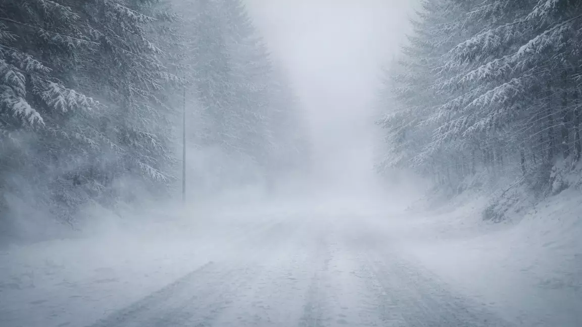 АҚШ-та қарлы боран кезінде 30 адам қайтыс болған