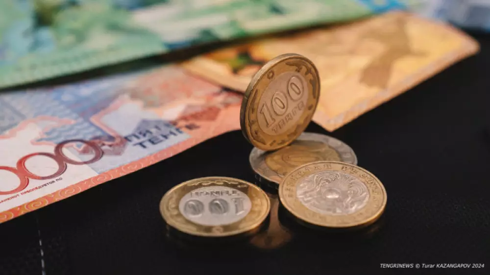 Қазақстандағы мүгедектігі және асыраушысынан айырылу бойынша жәрдемақылар мөлшері аталды