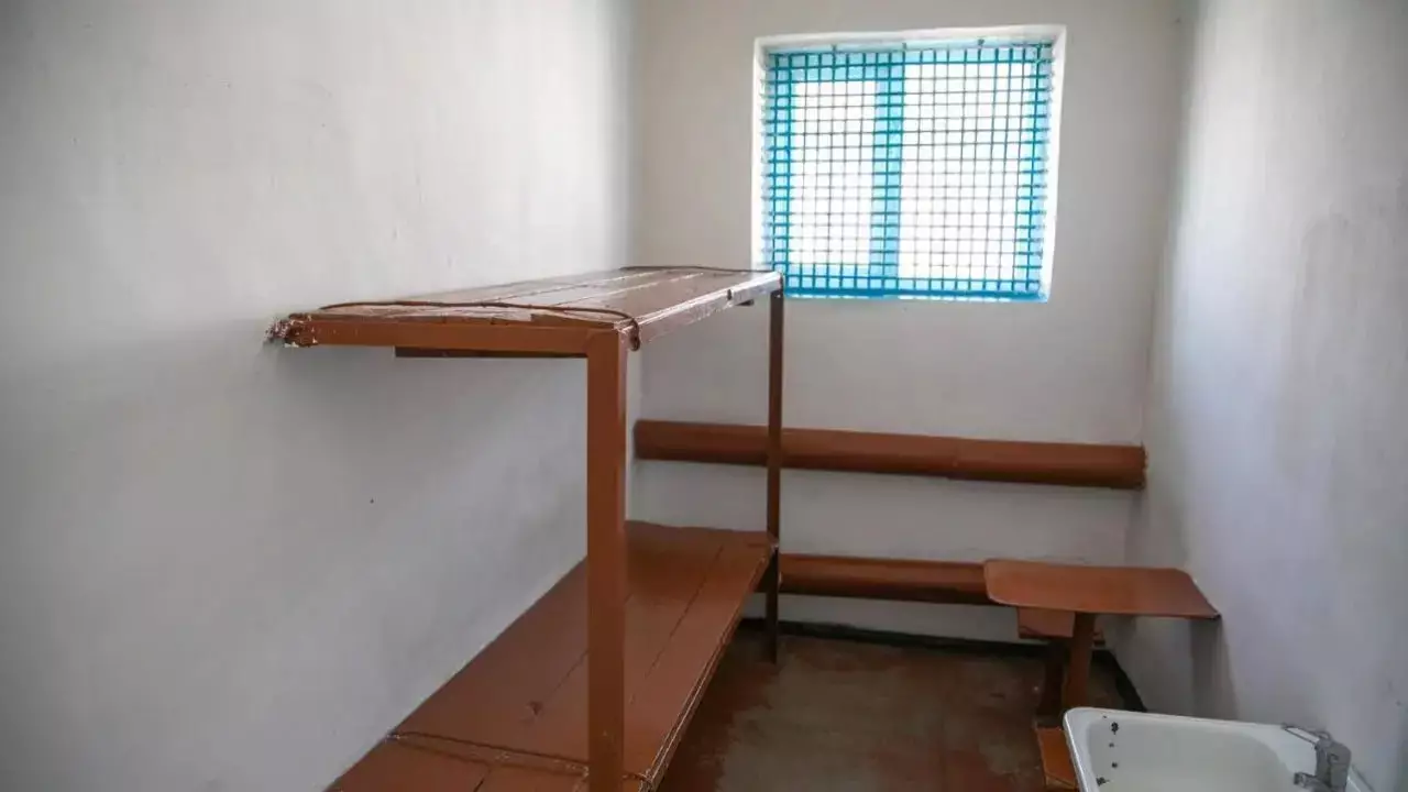 Желіні шулатқан видео: Жетісуда баласын ұрған ана екі айға қамауға алынды