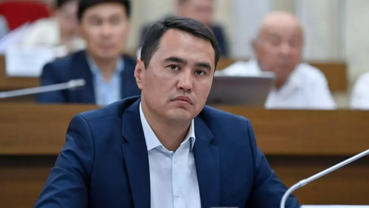 Депутат из Кыргызстана годами избивал жену