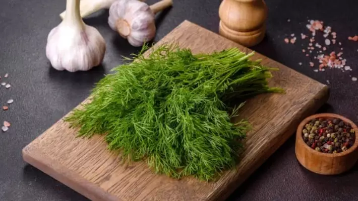 Три тонны укропа из Узбекистана уничтожили в Латвии после проверки