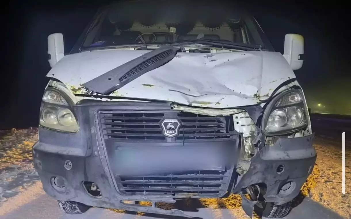 ГАЗель насмерть сбила пешехода в Павлодарской области