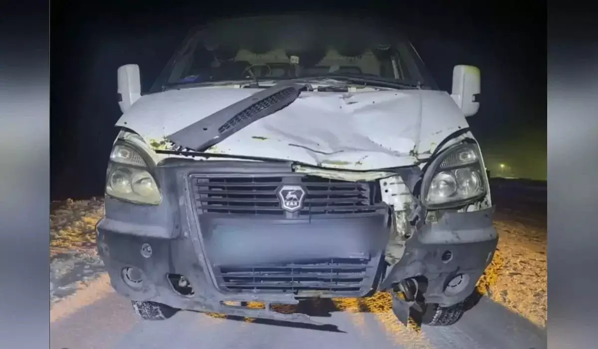 Павлодар облысында «Газель» қағып кеткен ер адам тіл тартпай кетті