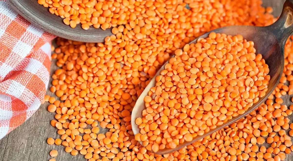 Қазақстан жасымық экспорты бойынша әлемдік нарықта алдыңғы қатарға шықты