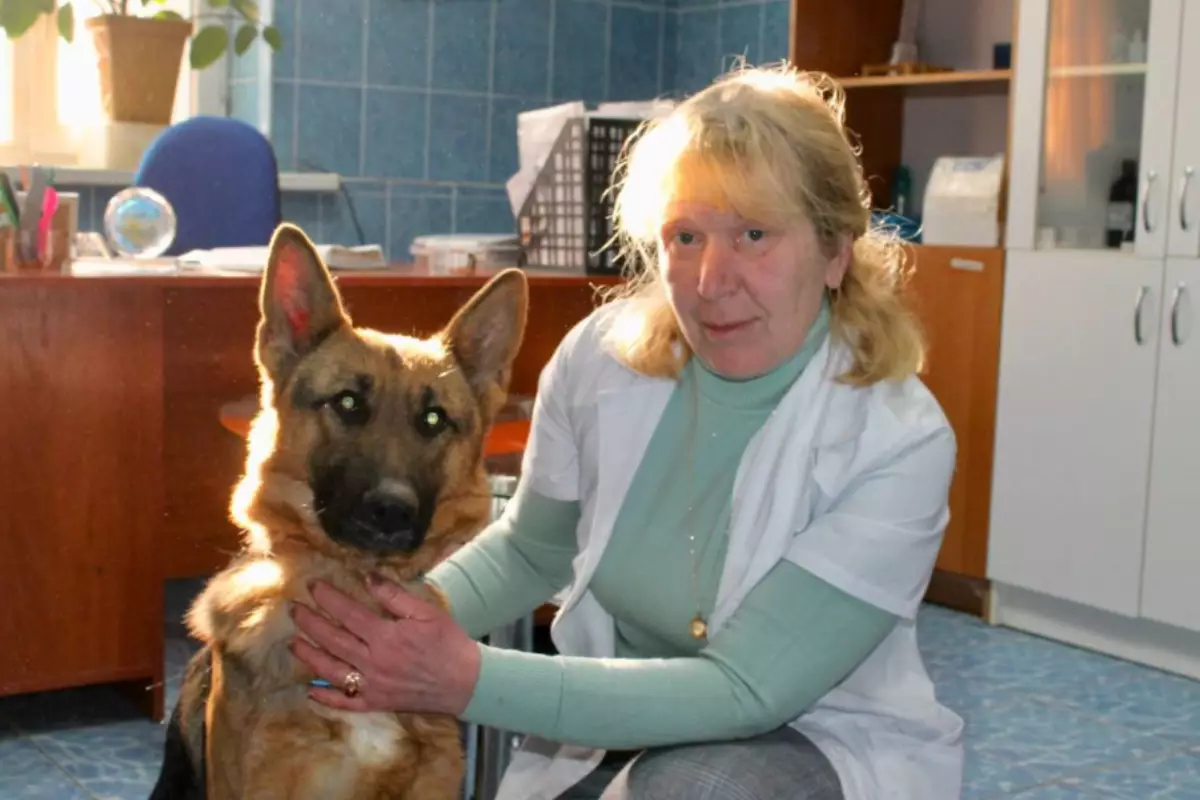 25 лет на службе: как в Атырау заботятся о «четвероногих полицейских»