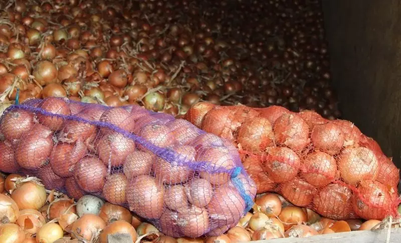 Десятки тонн казахстанского лука не доехали до России