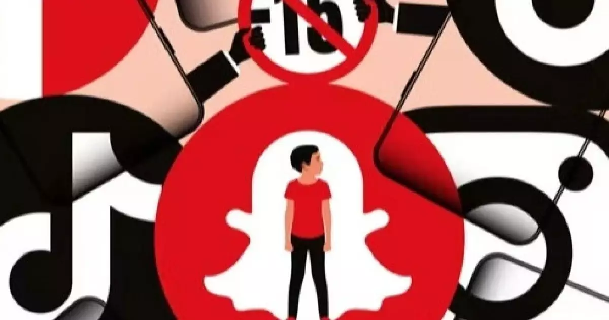  Франция балаларға әлеуметтік желіге кіруге тыйым салмақшы 